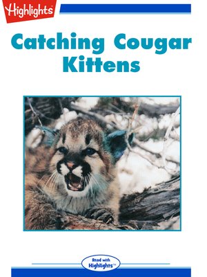 cover image of Catching Cougar Kittens